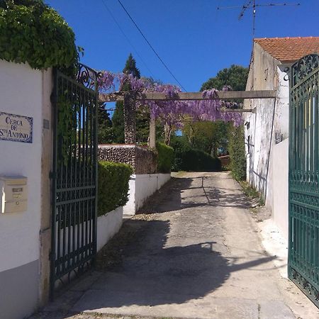 Casa Dos Arrabidos Guest House Torres Novas Bagian luar foto