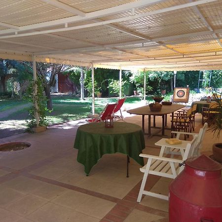 Casa Dos Arrabidos Guest House Torres Novas Bagian luar foto