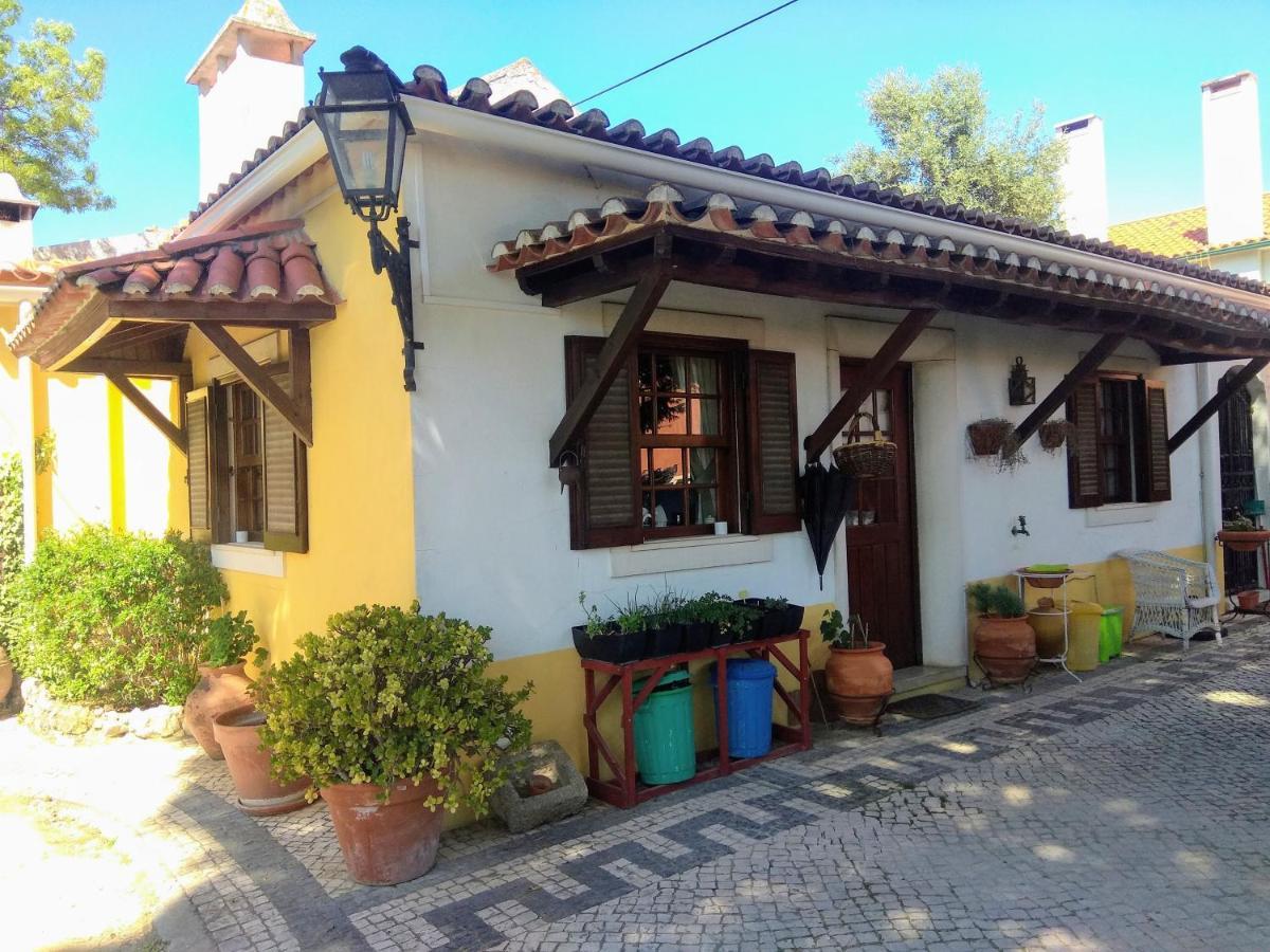 Casa Dos Arrabidos Guest House Torres Novas Bagian luar foto