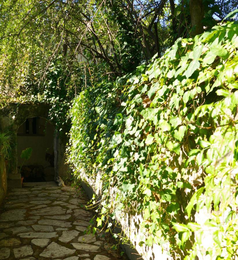 Casa Dos Arrabidos Guest House Torres Novas Bagian luar foto