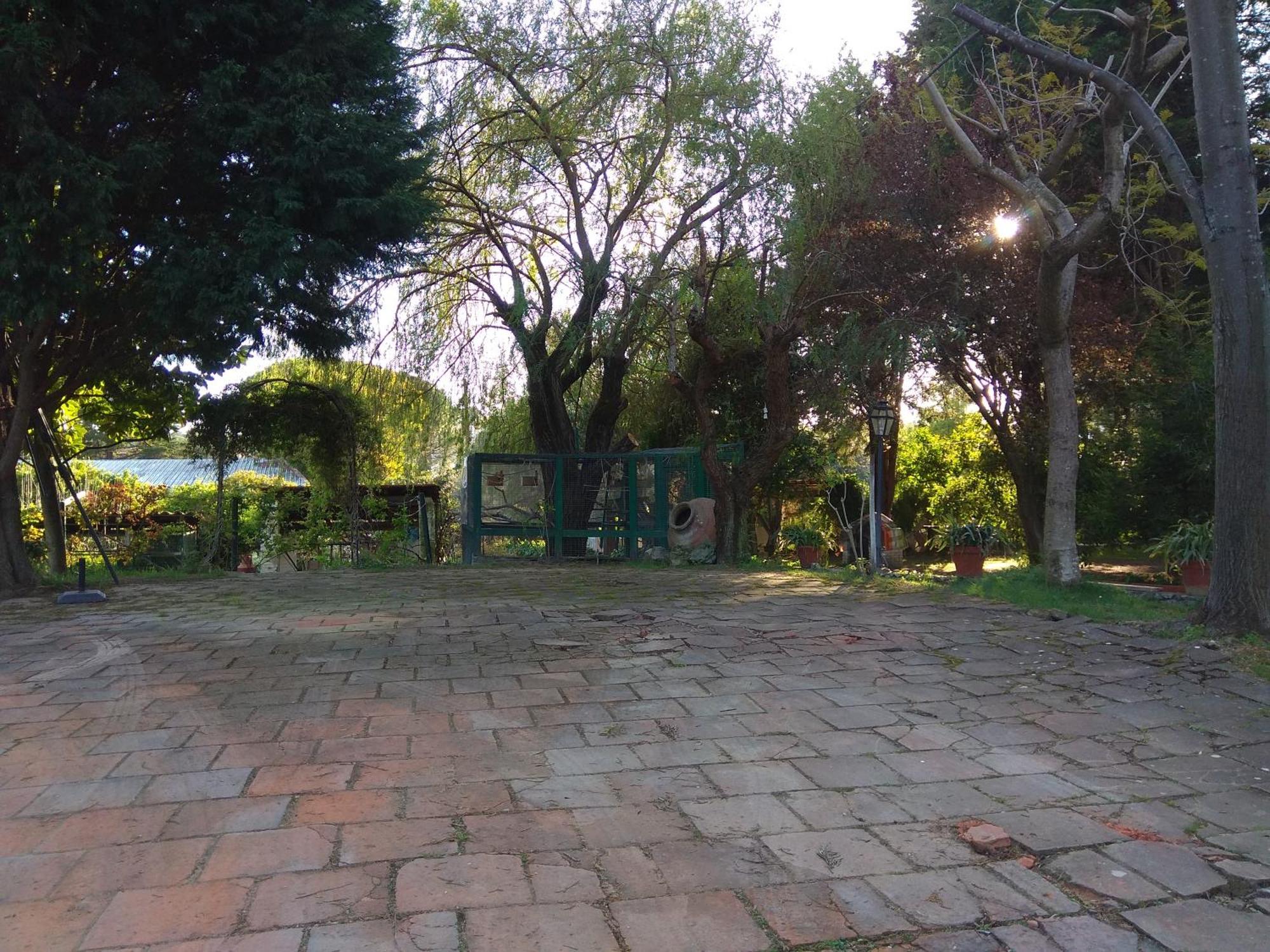 Casa Dos Arrabidos Guest House Torres Novas Bagian luar foto
