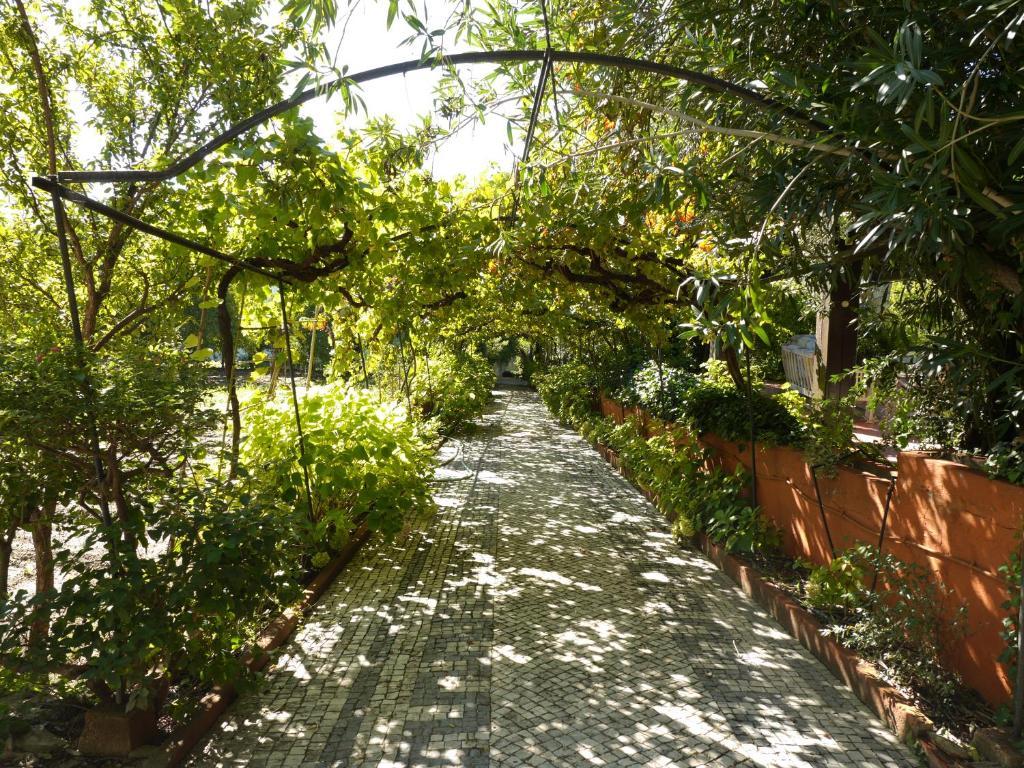 Casa Dos Arrabidos Guest House Torres Novas Bagian luar foto