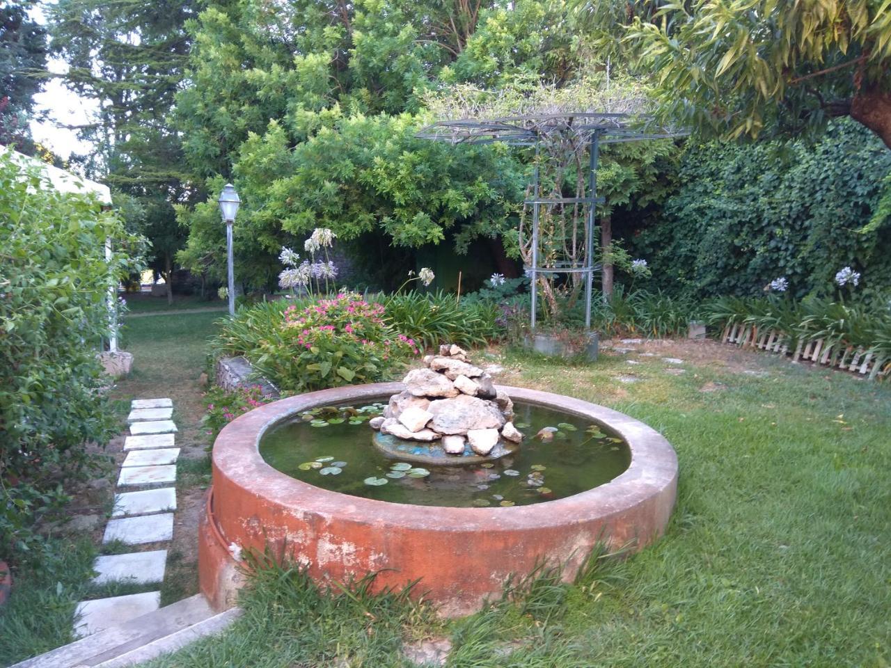 Casa Dos Arrabidos Guest House Torres Novas Bagian luar foto